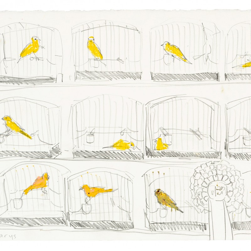 Canaries