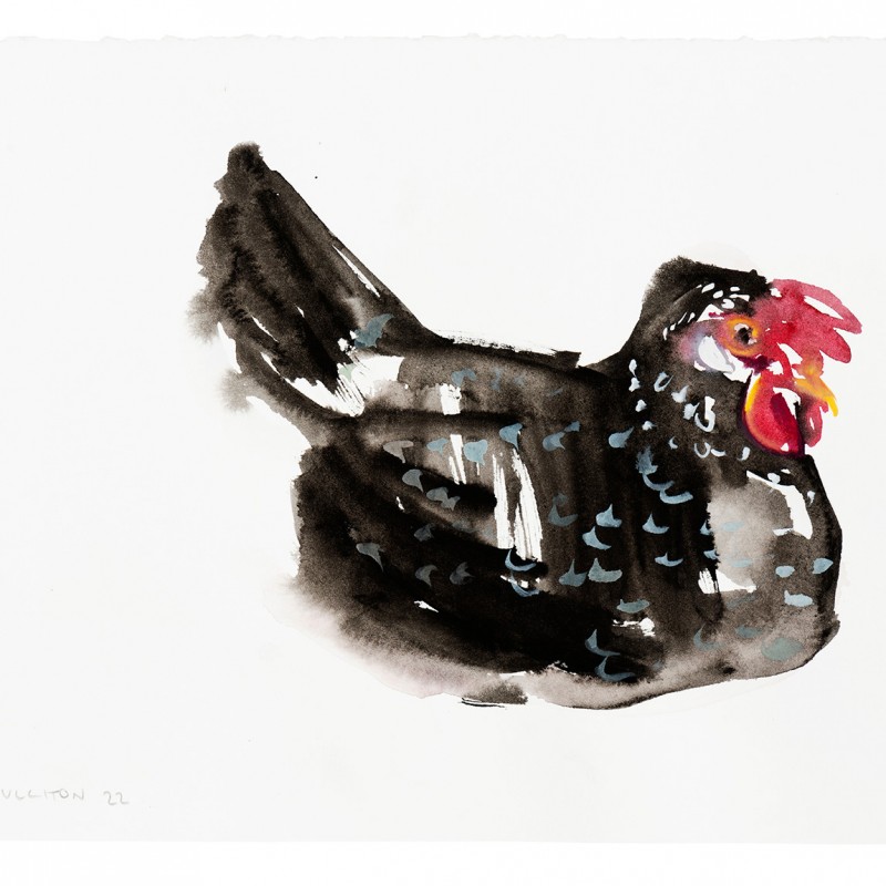Hen