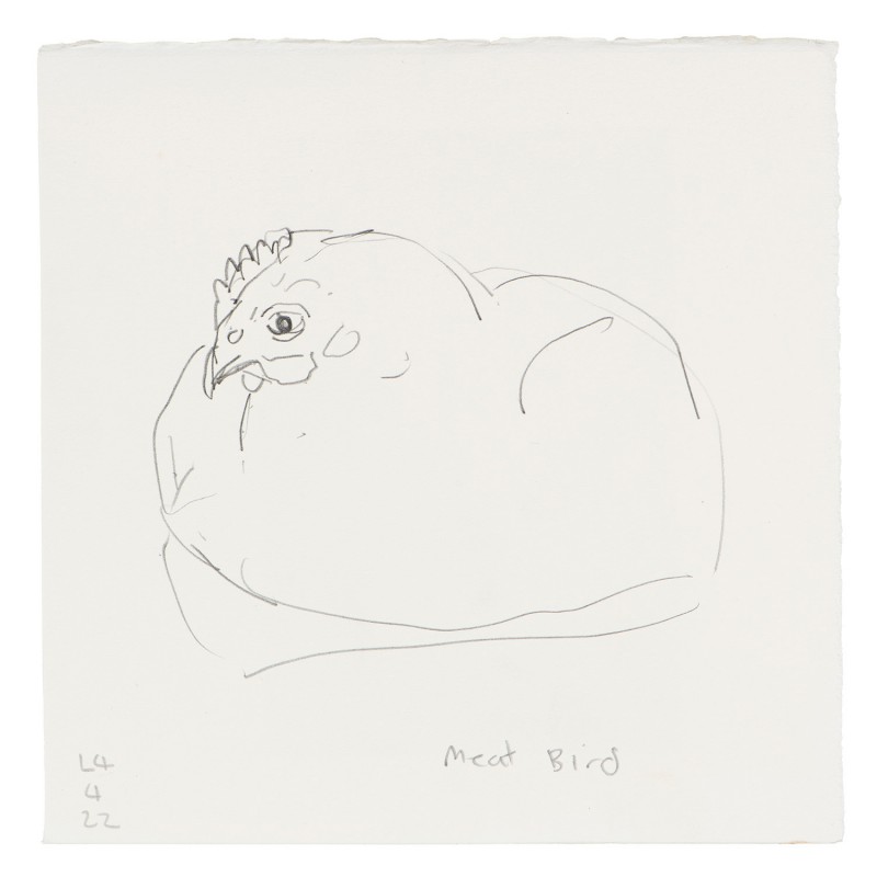 Meat Bird