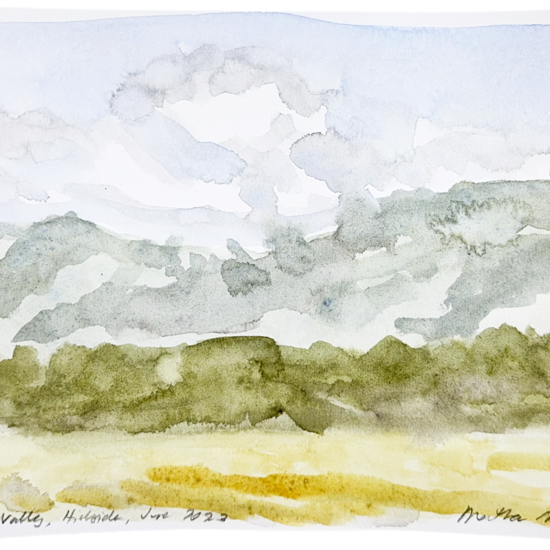 Kangaroo Valley, Hillside, June 2022