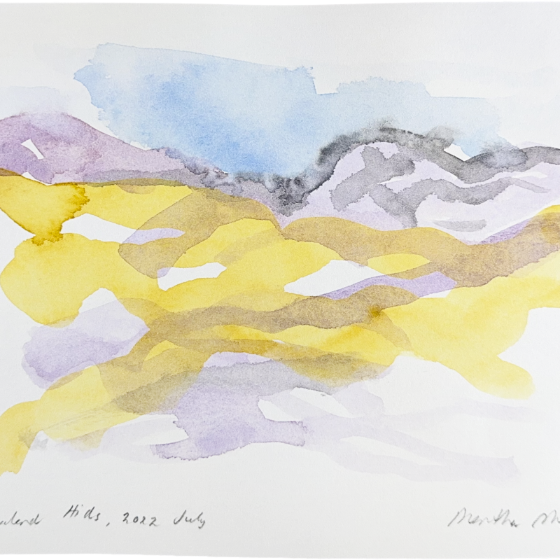 New Zealand Hills, 2022 July