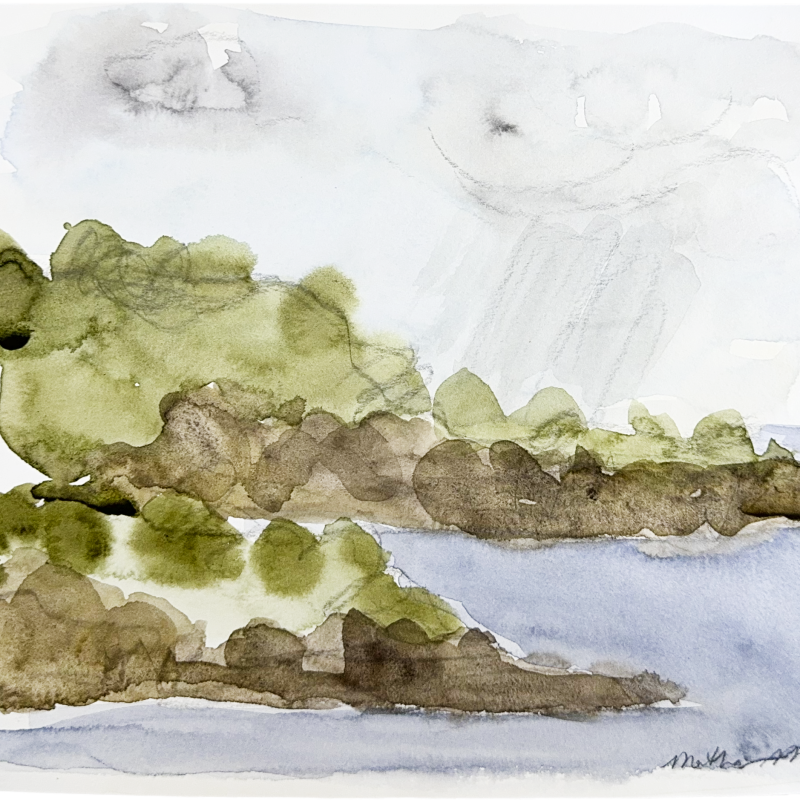 Rain Shower, March 2022