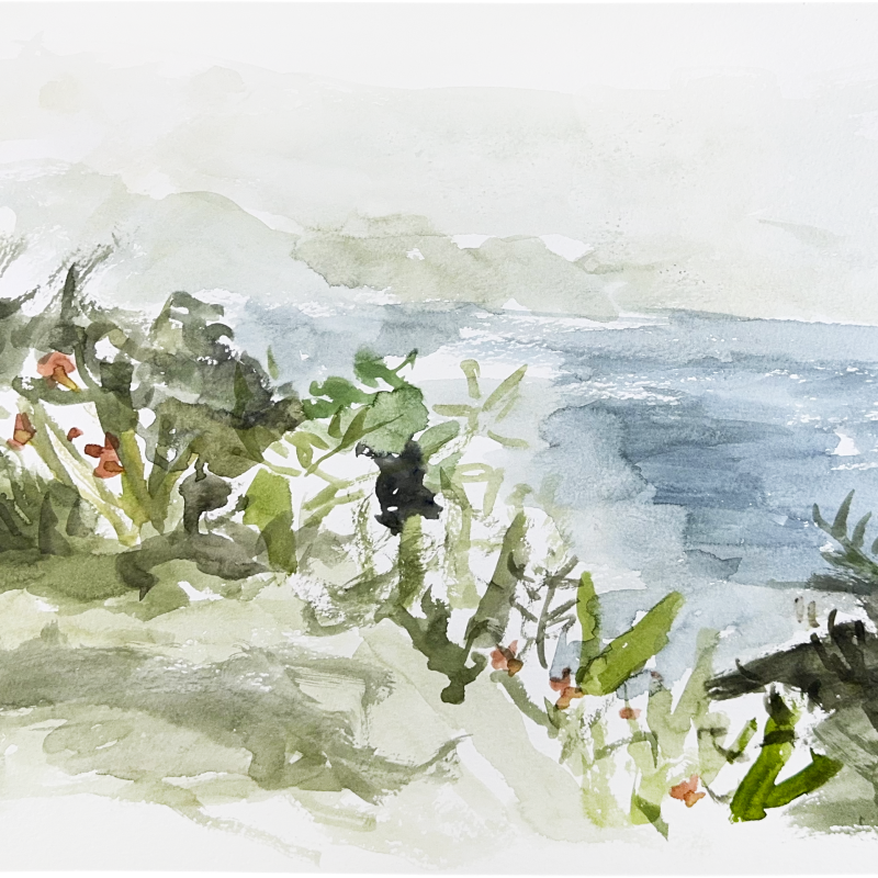 Coogee, Hot Day, Even Light, December 2023