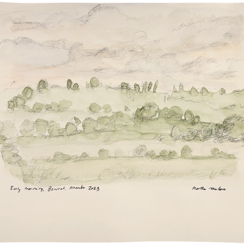 Early Morning, Bowral, November 2023