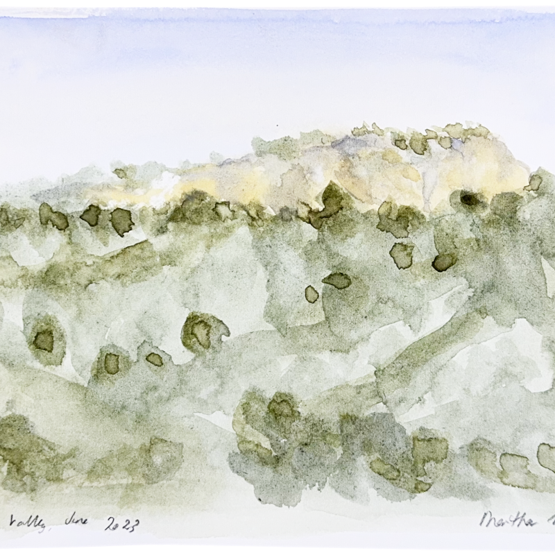 Kangaroo Valley, June 2023