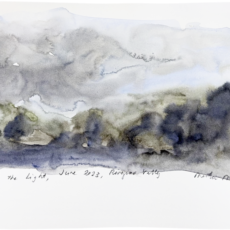 Last of the Light, June 2023, Kangaroo Valley