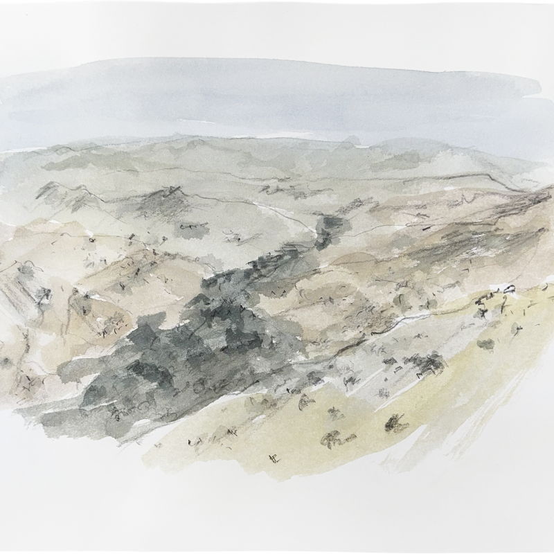 New Zealand Hills, 2023