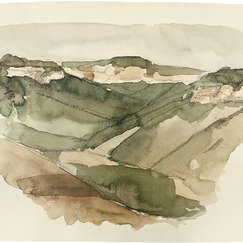 Blue Mountains, February 2024