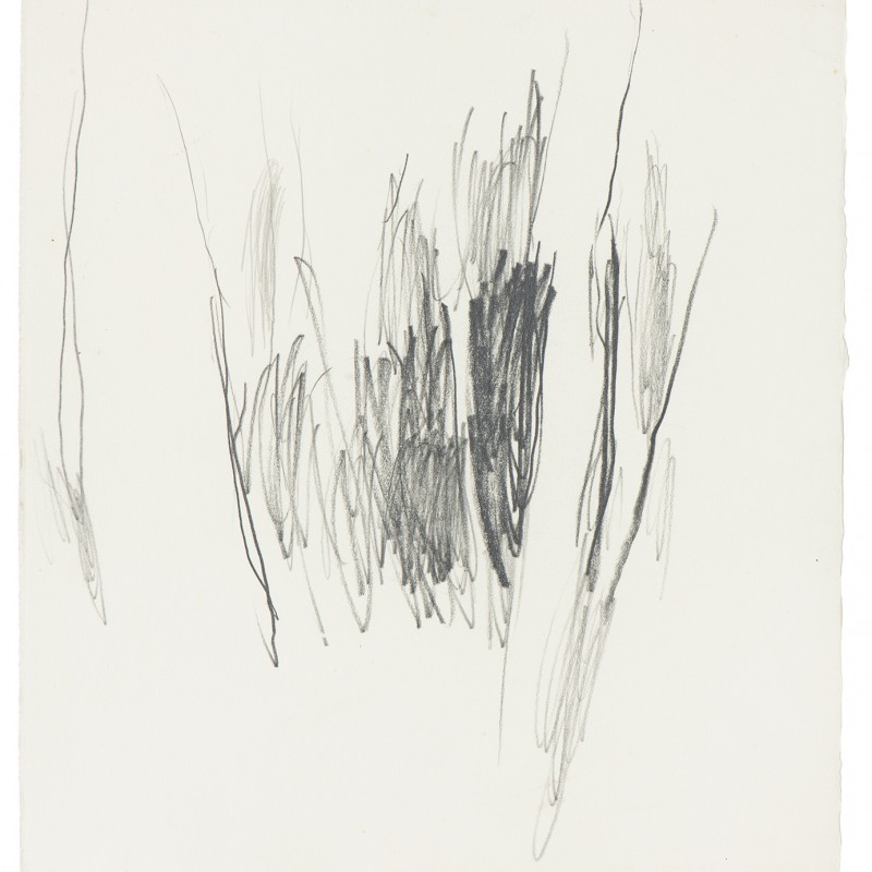 Banis [III]
