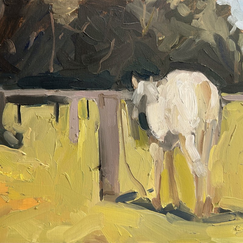 Paddock [Horse’s Arse]