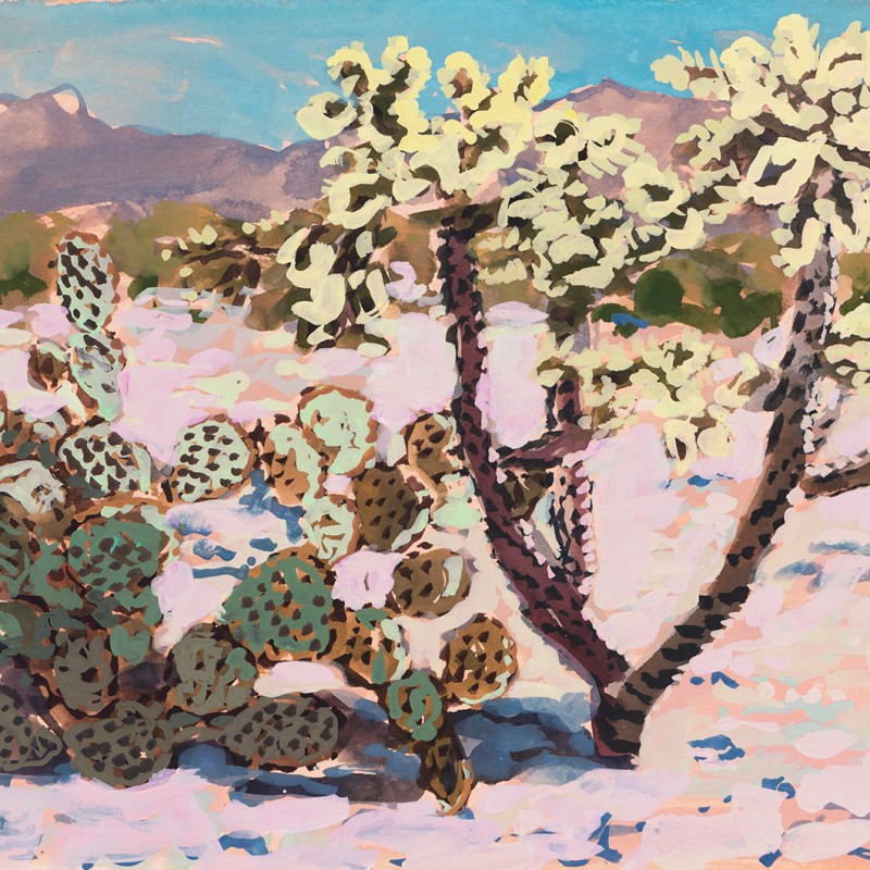 Tucsan Cactus