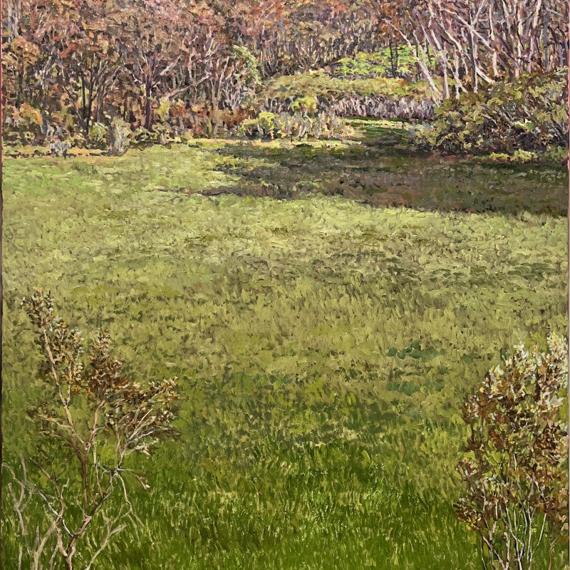 Top Swamp II