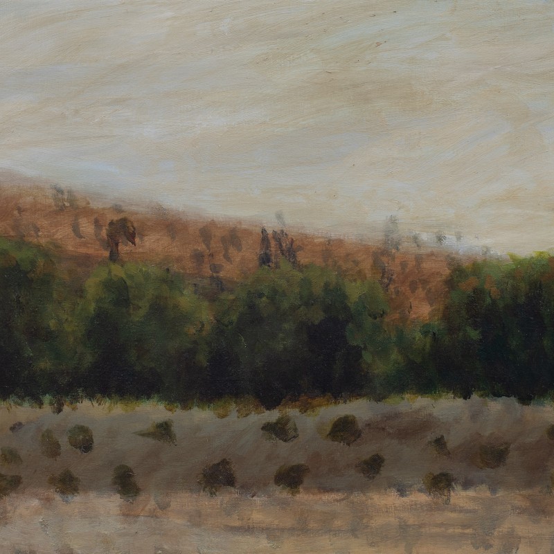 Painting 340 (Fowlers Gap)